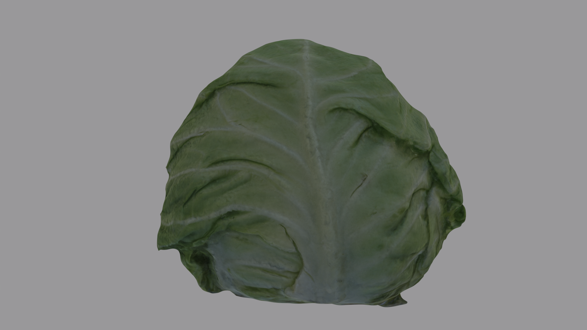 Cabbage Head preview image 5